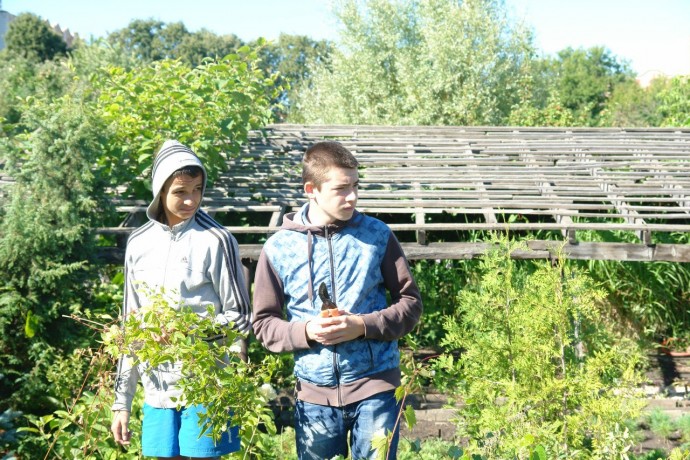 СОВМЕСТНОЕ ОБРАЩЕНИЕ о временном трудоустройстве несовершеннолетних в возрасте от 14 до 18 лет