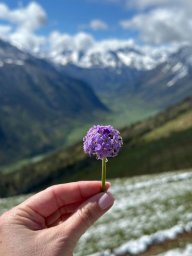 Держитесь крепко, чтобы вас не сдуло! Хорошую в целом погоду немного подпортит буйный восточный вете
