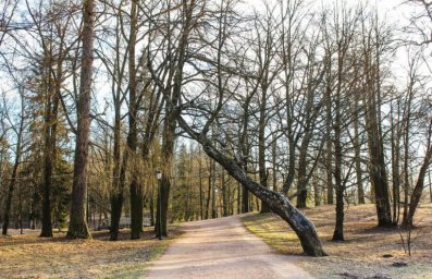 На Новый год снега не будет