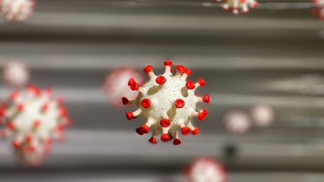 На Кубани за сутки COVID-19 заболели 72 человека