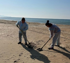 Преподаватели Мостовской детской школы искусств помогают Чёрному морю.