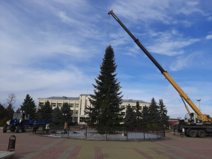 Новогоднюю ель в Мостовском нарядят профессиональные дизайнеры Новогоднюю ель в Мостовском нарядят профессиональные дизайнеры